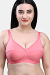 Maroon Clothing Single Layered Non Wired Full Coverage Sag Lift Bra (Pack of 2) - Multicolor — thumbnail 6